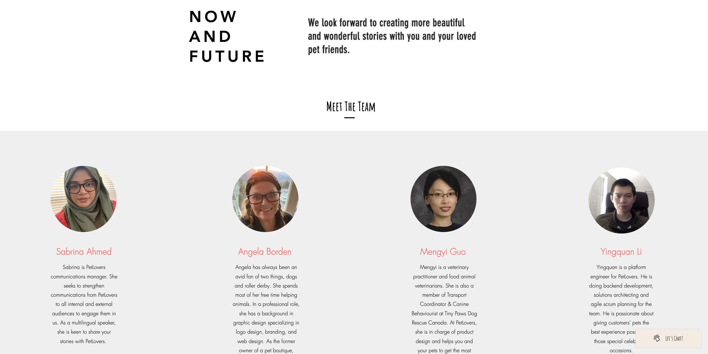 Mengyi's e-commerce website screenshot